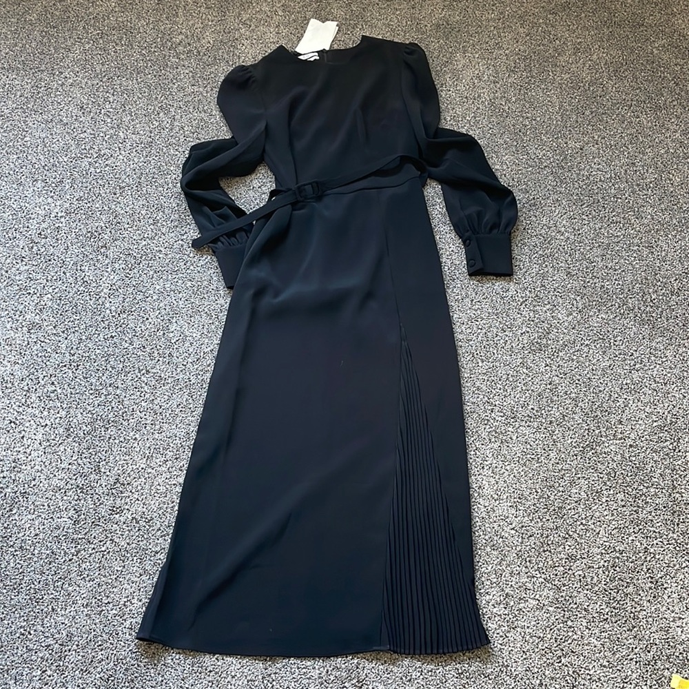 CO Pleated Panel Dress. Size XS. Never Been Worn!